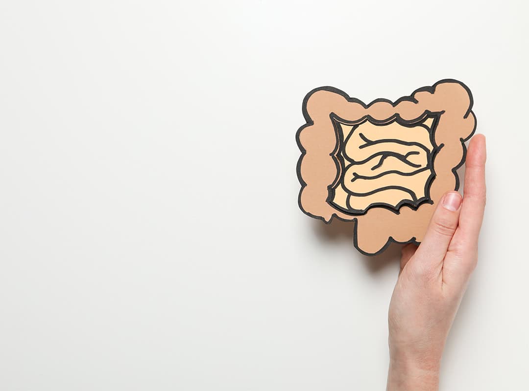 uchyłki jelita grubego - przeczytaj artykuł na blogu endomed.com.pl